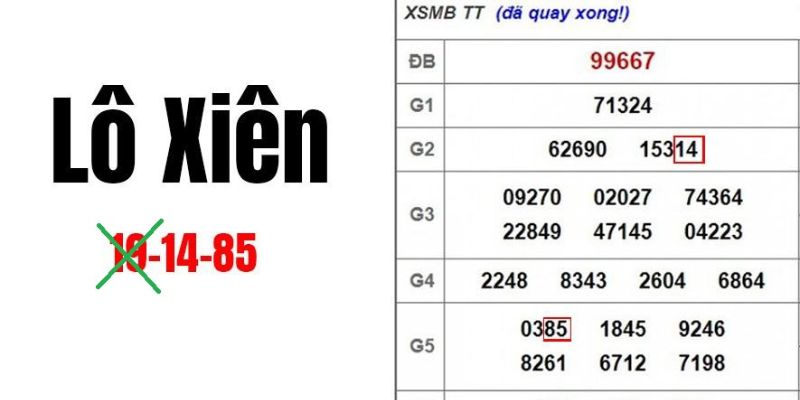 Tỷ lệ thưởng thu hút nhiều người tham gia tại đây